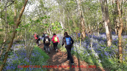 Champcueil grands avaux 24 04 2022 b