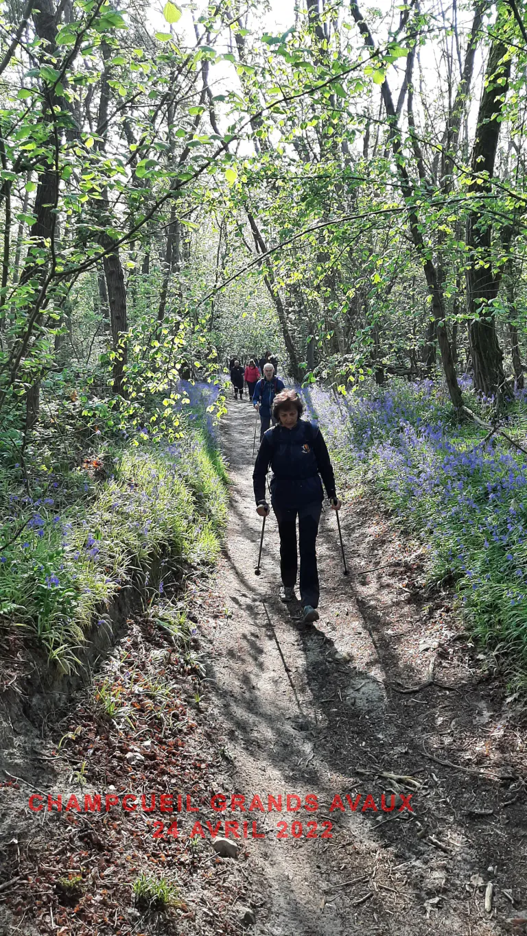 Champcueil grands avaux 24 04 2022 c