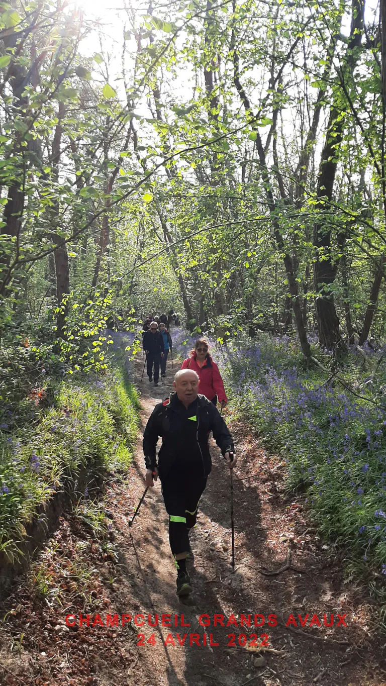 Champcueil grands avaux 24 04 2022 d