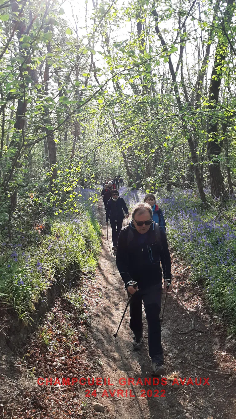 Champcueil grands avaux 24 04 2022 e