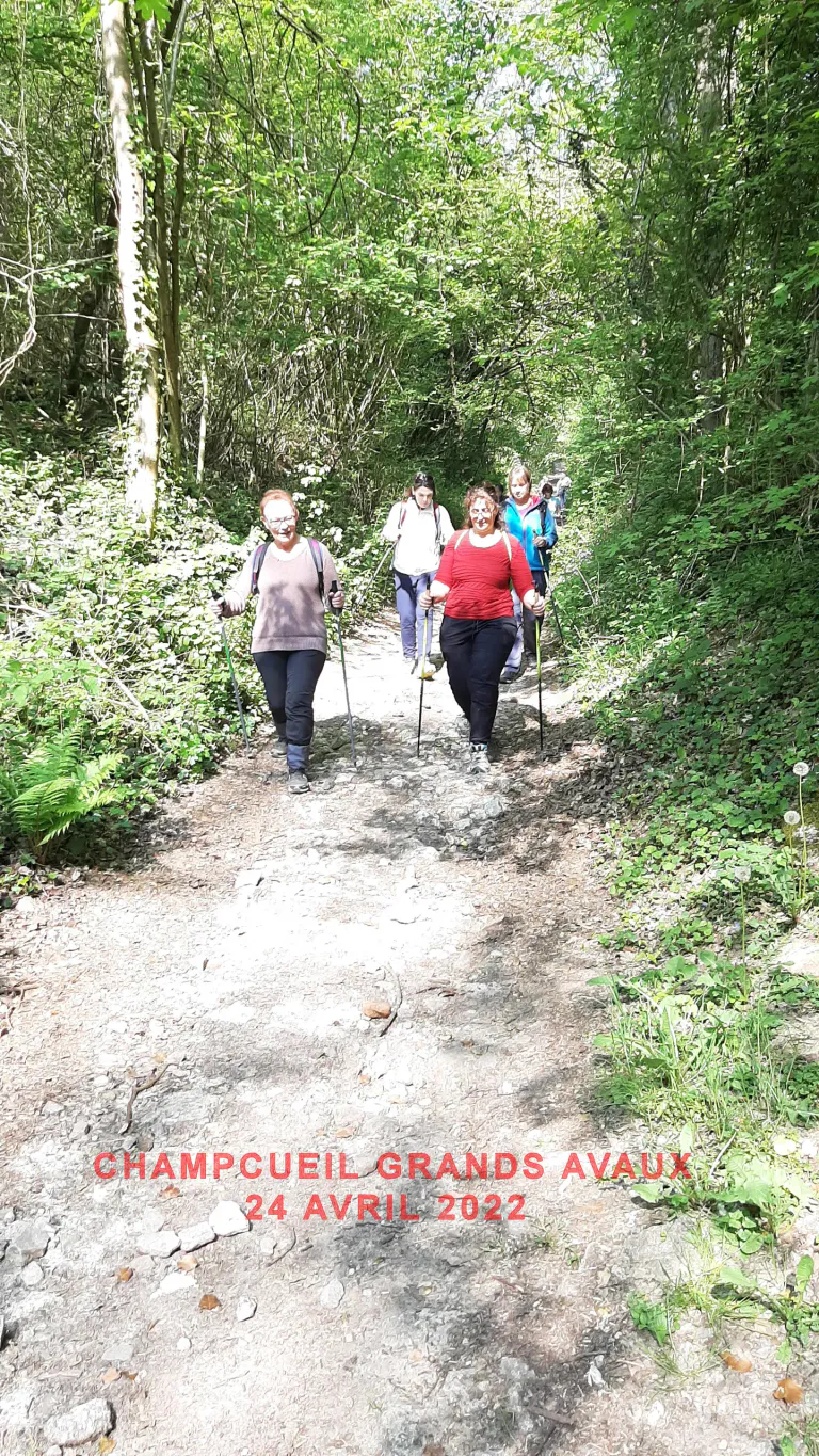 Champcueil grands avaux 24 04 2022 f