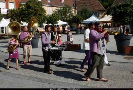 Quartier libre 2013 pulsar orchestra 17