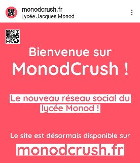 Monodcrush, le site que vous attendiez depuis longtemps !