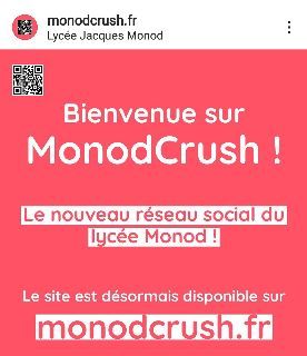 Monodcrush, le site que vous attendiez depuis longtemps !