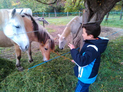 Img 20151015 150452 1