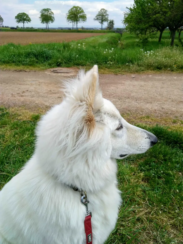 Img 20210503 135619 3