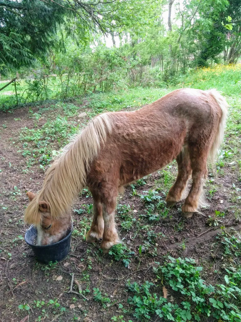 Img 20210510 090538 2