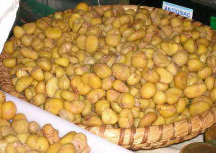 La châtaigne blanchie : c'est quoi ?