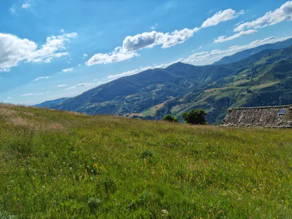 Photo 2022 06 28 19 41 04