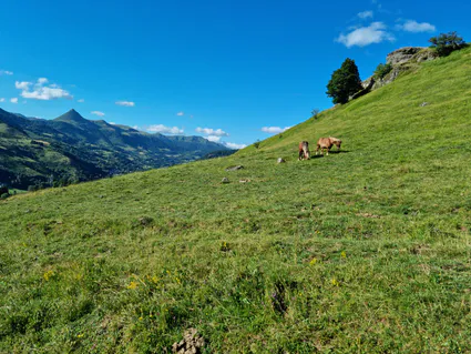 Photo 2022 06 28 19 41 05