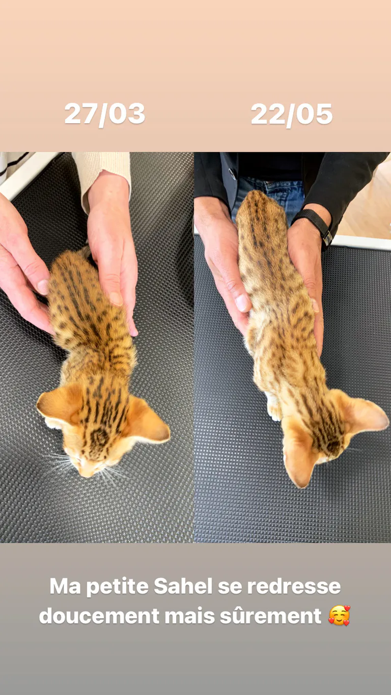 51b75fdb 1224 4420 8f8f b6a127a5fdee