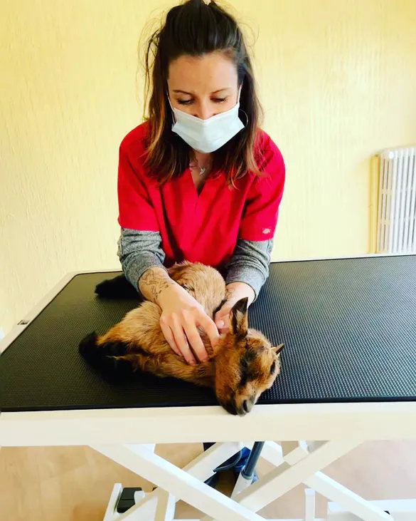 Bab0a48c 3d8f 40ec badc 5a9a8e03fa99