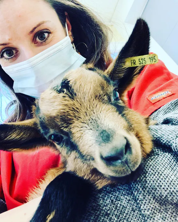 2de484bf 2460 4a98 b3da f0a90e1091ef