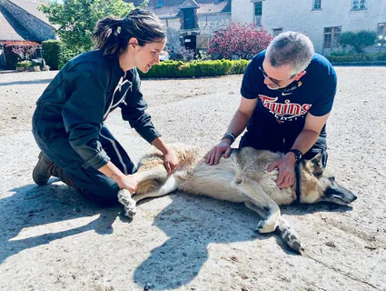 66fc8e13 9939 472d 9280 4d2e6bc66499