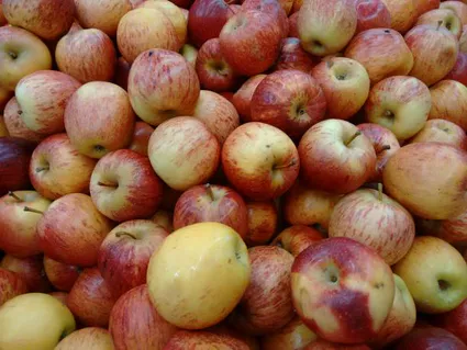 Fruit apple picture id866378606