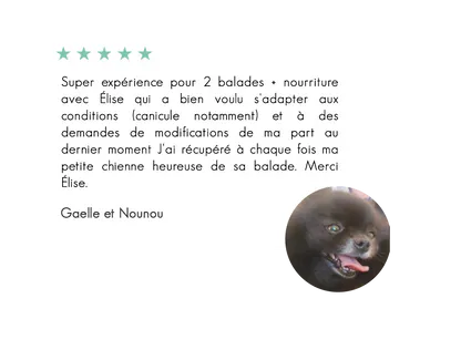Nounou