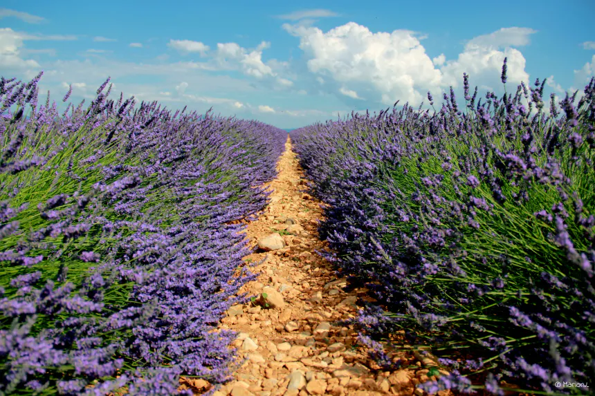 Dites à l’avenir que nous arrivons* (et que nous passerons par le cœur)