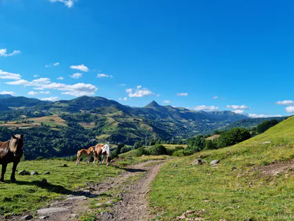 Photo 2022 06 28 19 41 03