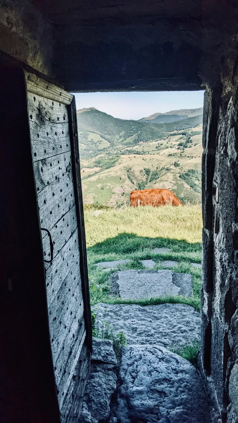 Porte d entree vache 2022