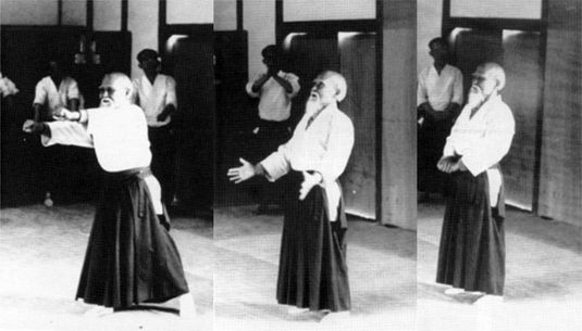 Aikido-O-sensei-furitama