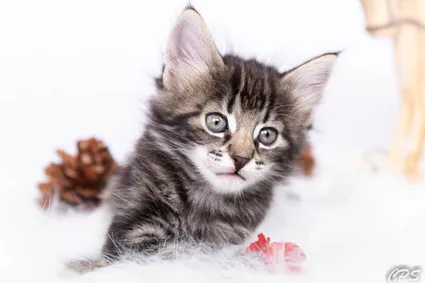 300502419 10209413733338248 3809208785245063911 n