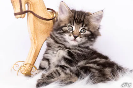 300407995 10209413771219195 4452949794722098023 n