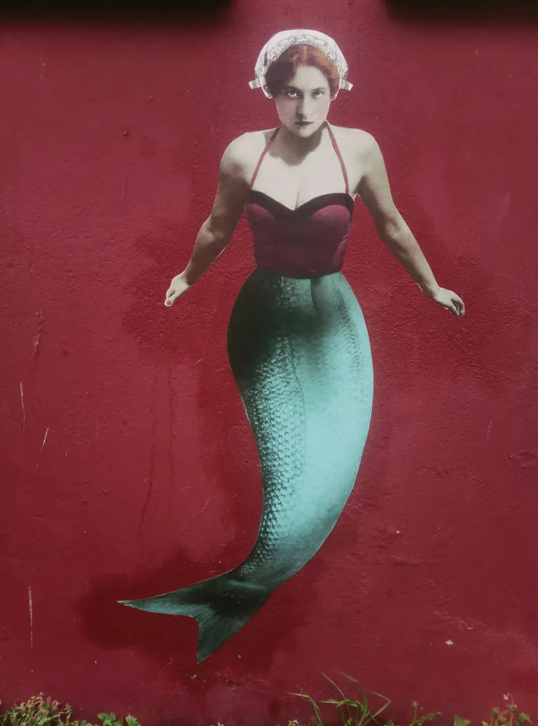 Img 20210622 094326 2 2