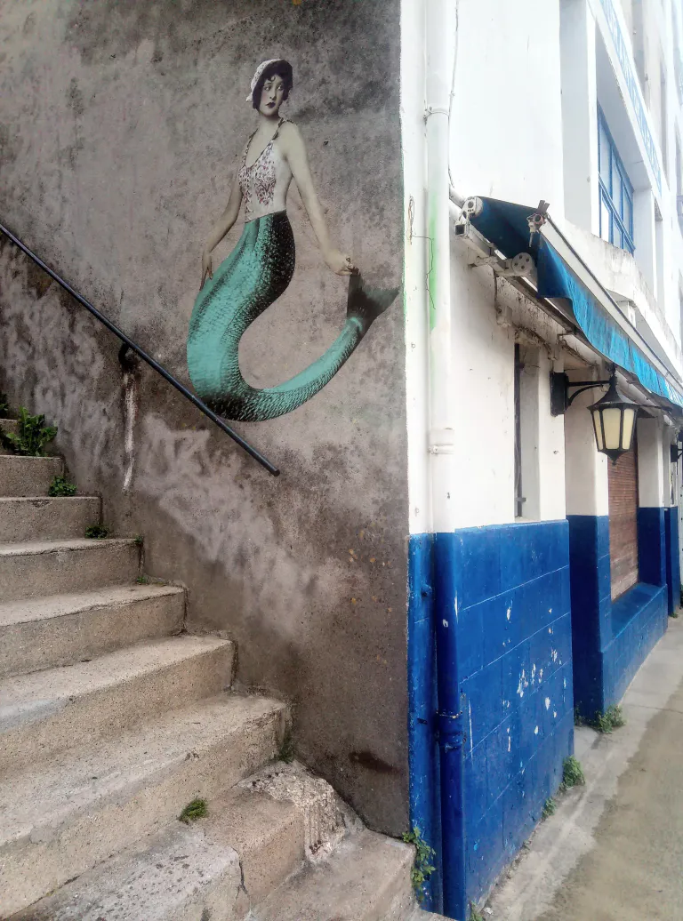 Img 20210622 092720 2 2