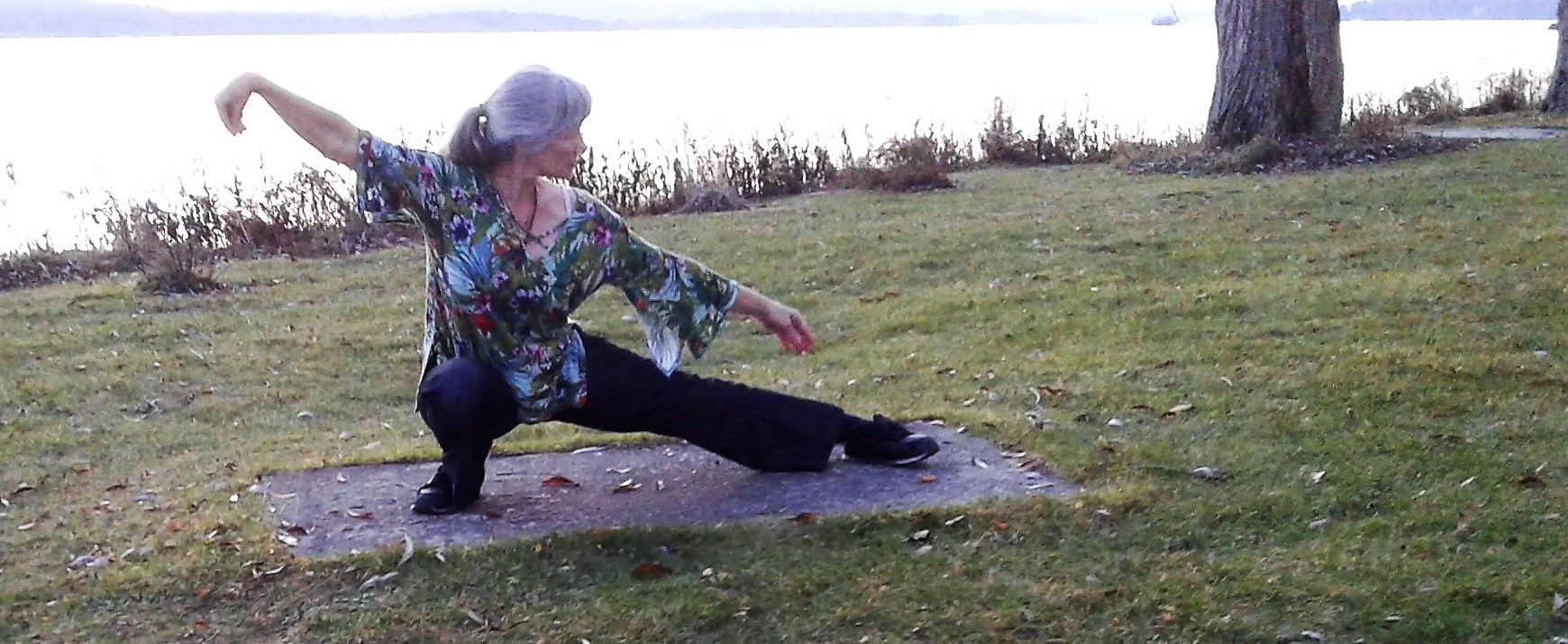 Tai Ki gong
Tai Chi - Qi gong - Méditation
Connectez vous à la source !
