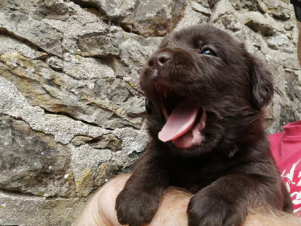 305662498 492455255612064 9064418632046559759 n