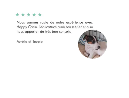 Toupie