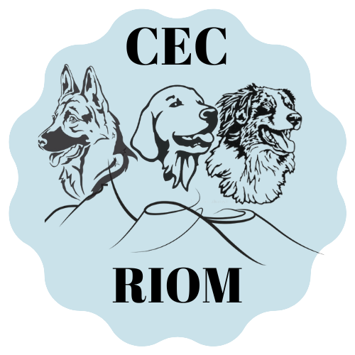 CEC-removebg-preview