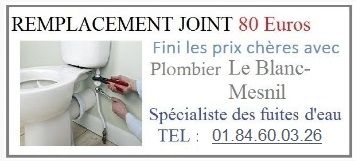 Remplacement joint Le Blanc-Mesnil