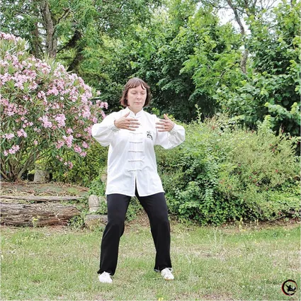 Qigong taichi taichichuan deroulement seance artdumieuxetre ame adeline viviant bourgoin