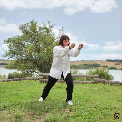 Taichi taichichuan qigong artdumieuxetre ame adeline viviant bourgoin