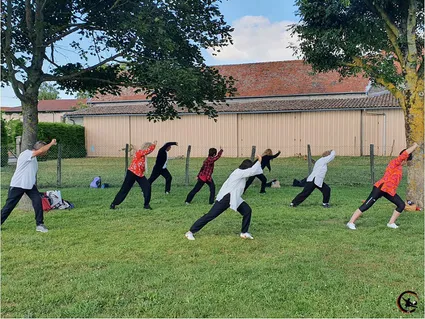 Cours qigong cours taichi cours collectifs bourgoirn maubec ame artdumieuxetre adeline viviant