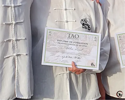 Qigong taichi taichichuan artdumieuxetre formation diplome ame adeline viviant bourgoin
