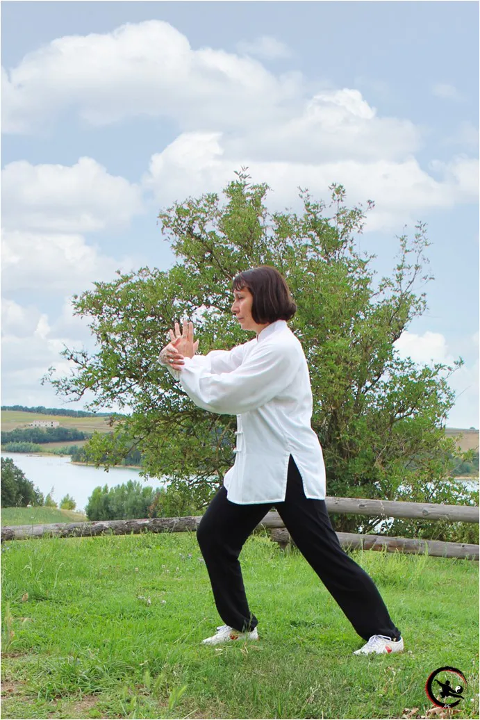 Qigong bourgoin taichi bourgoin qigong maubec taichi maubec ame artdumieuxetre adeline viviant 2