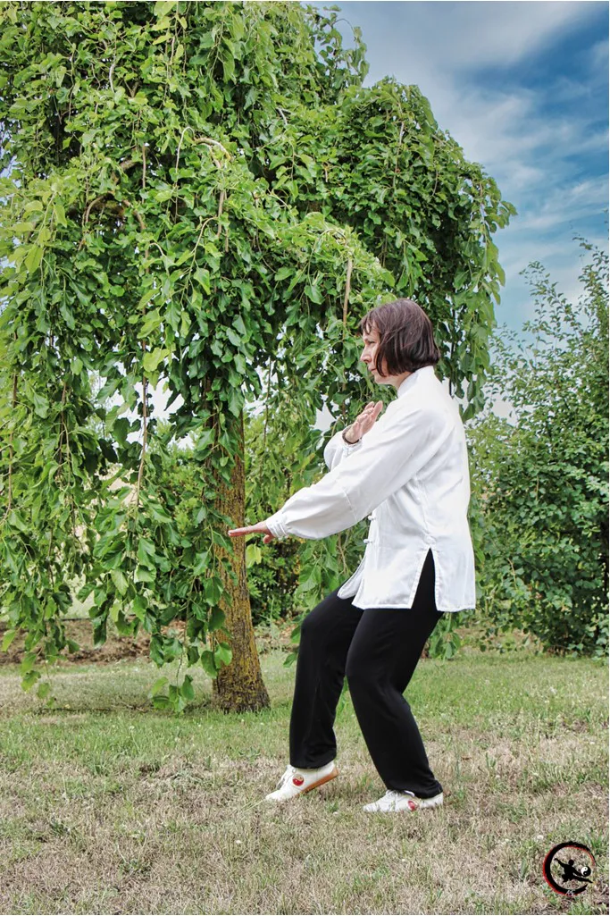 Qigong bourgoin taichi bourgoin qigong maubec taichi maubec ame artdumieuxetre adeline viviant 3