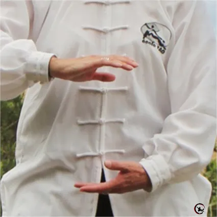 Qigong bourgoin taichi bourgoin qigong maubec taichi maubec ame artdumieuxetre adeline viviant 4