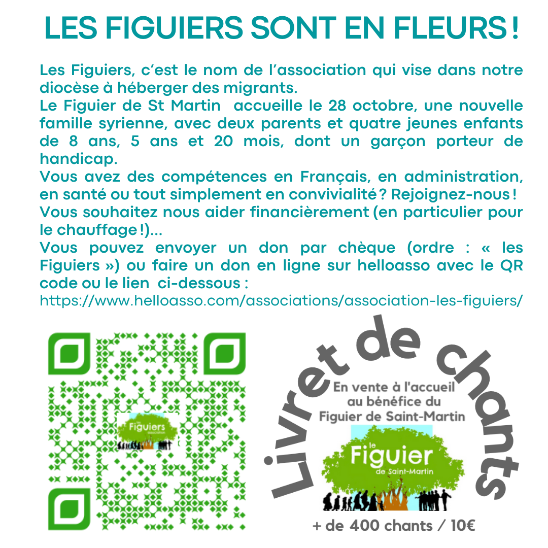 Les-figuiers-sont-en-fleurs-Les-Figuiers-c-est-le-nom-de-l-association-qui-vise-dans-notre-dioce-se-a-he-berger-des-migrants-Le-Figuier-de-St-Martin-accue