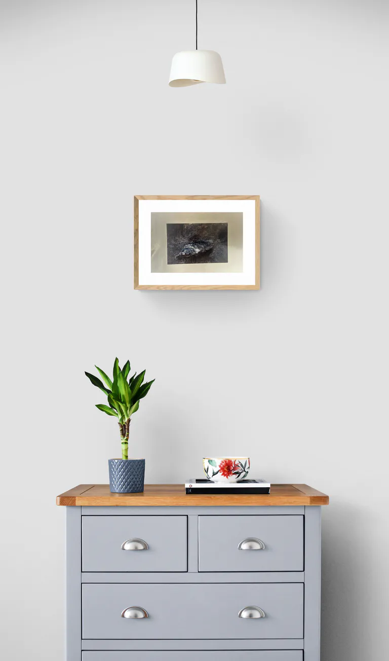 Serpent the gray wood cabinet