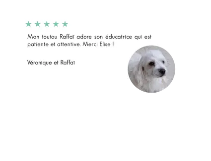 Raffai