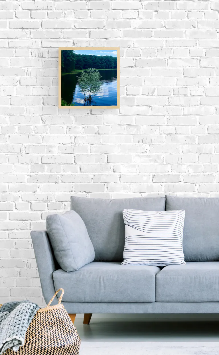Comfy lounge corner petit arbre