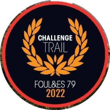 Logo-challenge
