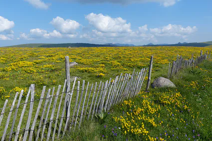 Plateau de pailherols