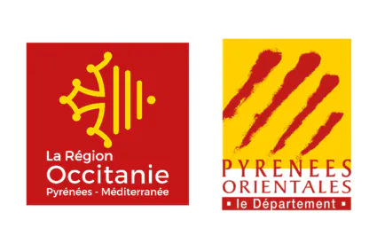 Animation cd66 region