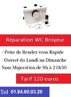 Reparation-wc-broyeur-