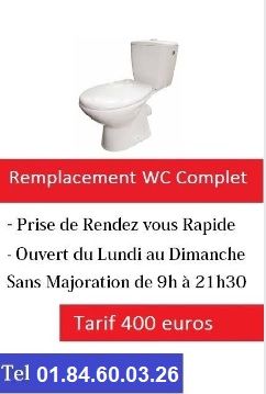 Remplacement-wc-complet