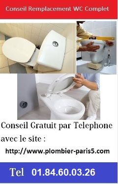 Conseil-remplacement-WC-complet-tel